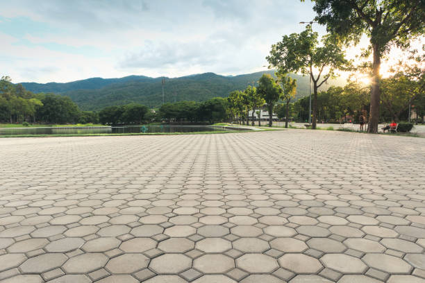 Best Residential Driveway Paver Services  in Coconut Creek, FL